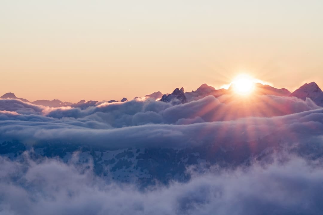 https://img3.utuku.imgcdc.com/608x0/news/20250902/d5836e53-3ff5-4e1d-a847-9b863ee25d8a.jpg